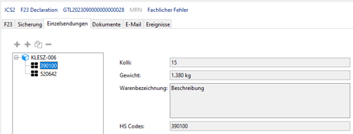 22_ICS2_Anmeldung_Guter_Waren_Details-_DE