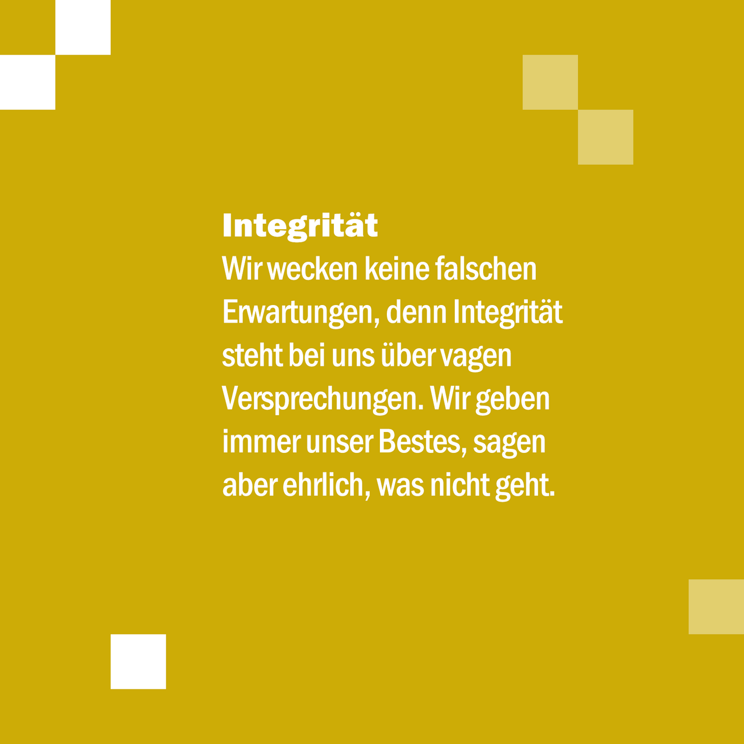 Riege Software Firmenwert Integrität