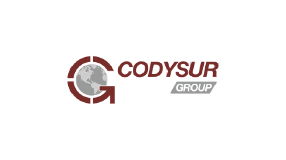 Codysur Group